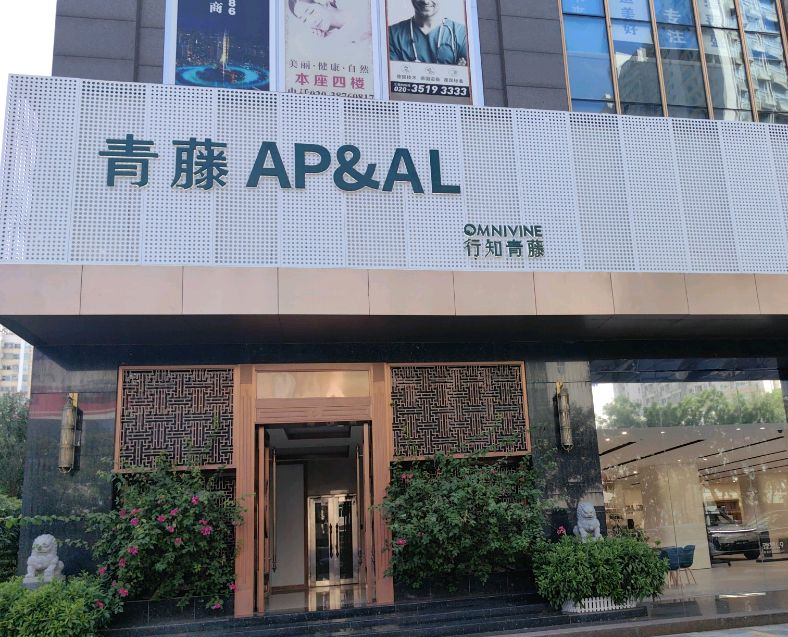 行知青藤集团办公环境