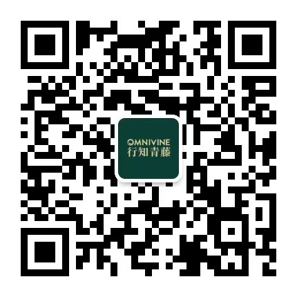 行知青藤教育集团的二维码